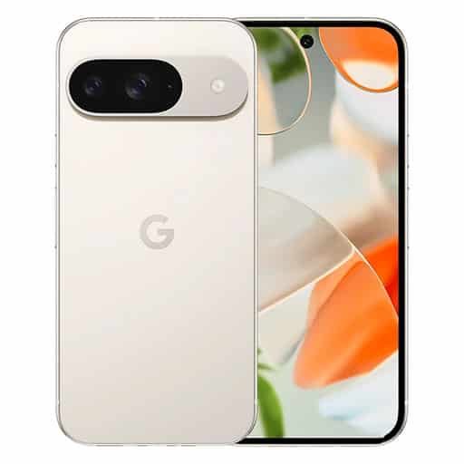 Google Pixel 9 Price in India